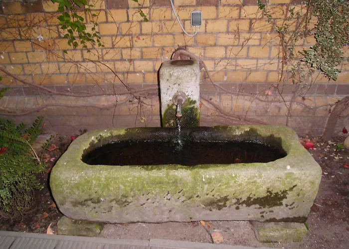 Ringhotel Schwarzer Baer Wittenberg